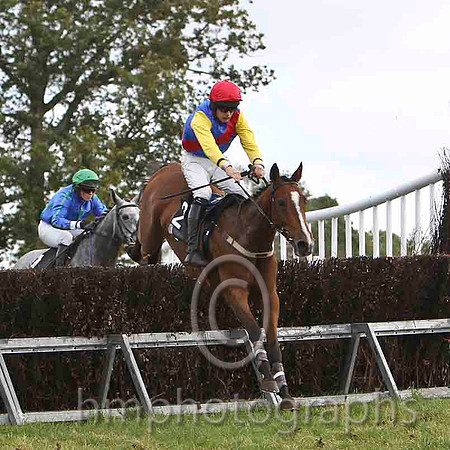 Sansa Start & J Cresswell - 3rd (1, royal blue, emerald green sash) & Sentry Girl & M J O'Hare - 2nd (2, royal blue, red sash) - FT8E7045-e