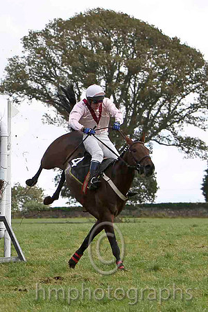 En Suite & N McParlan - Winner (4, pink, maroon chevron) - FT8E7057-e