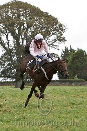En Suite & N McParlan - Winner (4, pink, maroon chevron) - FT8E7058-e