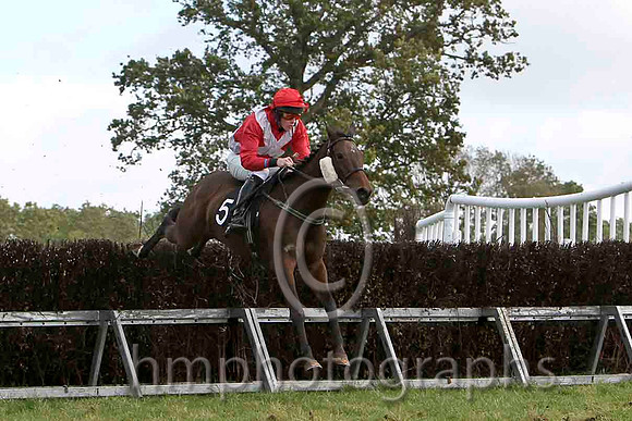 Knockans Breeze & W Thompson - 4th (5, red, white cross belts) - FT8E7060-e