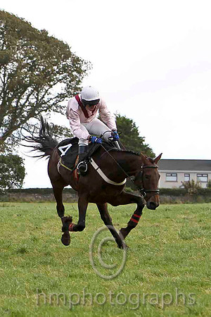 En Suite & N McParlan - Winner (4, pink, maroon chevron) - FT8E7059-e2