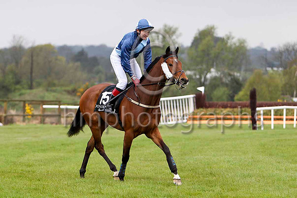 Solo Whisper (15, navy blue, sky blue sash) & J L Cullen - 5th - FT8E2631-e