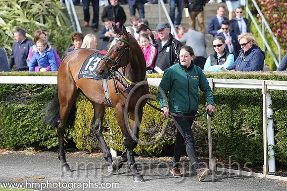 07th Westhaven ( 13 , maroon, white stars ) and N.P. Madden - Trainer : Noel Meade - Owner : J.Kernohan