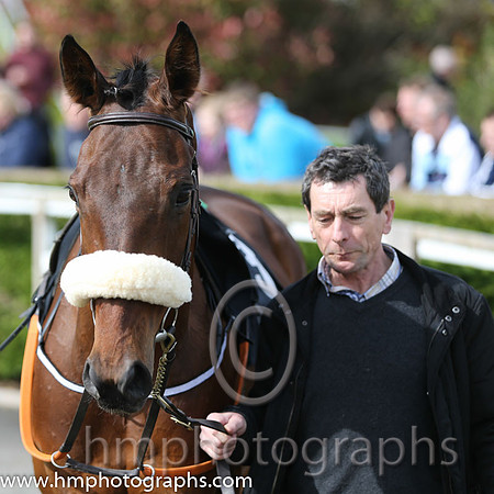 03rd Pride Of the Artic ( 3 , red ) and S.E. Butler (5) - Trainer : Peter Fahey - Owner : Brendan Fahey