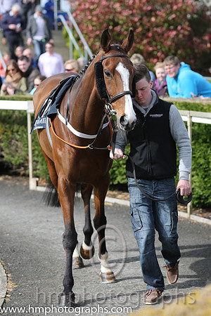 The Daily Mirror Handicap Chase at Down Royal