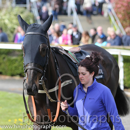 The Daily Mirror Handicap Chase at Down Royal