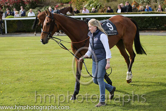 05th Leighinmohr ( 9 , blue, orange hoop ) and A.E. Lynch - Trainer : I. R. Ferguson - Owner : B. M. Kearney/James Murray