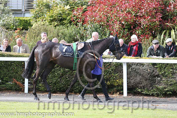 10th PU Butney Rock (GB) ( 7 , white, yellow panel ) and D.J. Casey - Trainer : C.A.McBratney - Owner : Cathal M. McGovern