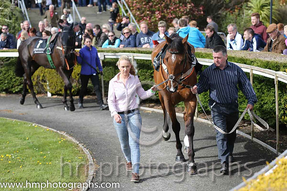 09th PU Howwoulduno ( 5 , blue, white hoop ) and G.B. Watters (3) - Trainer : Liam Lennon - Owner : Mrs P.D. McMullan