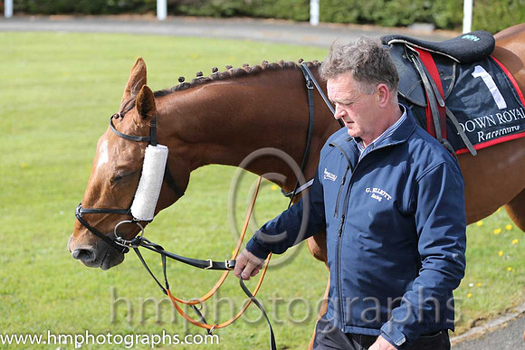 01st Make A Track ( 1 , maroon, white stars ) and B. O'Neill (3) - Trainer : Gordon Elliott - Owner : Gigginstown House Stud