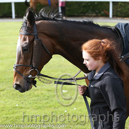 The Daily Mirror Handicap Chase at Down Royal