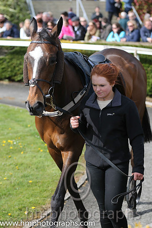 The Daily Mirror Handicap Chase at Down Royal