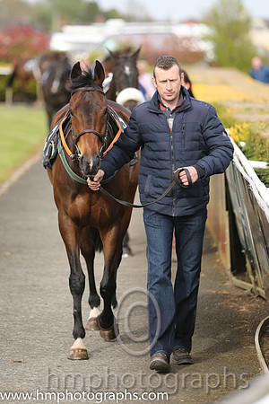 The Down Royal Flat Race of 9,000 Euro