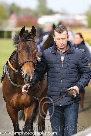 The Down Royal Flat Race of 9,000 Euro