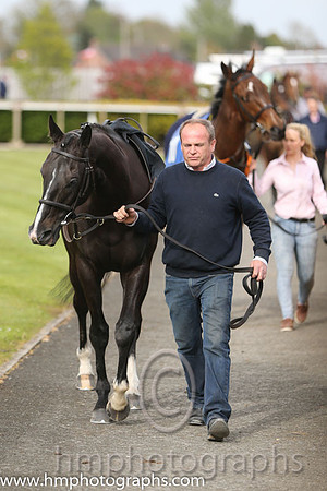 The Down Royal Flat Race of 9,000 Euro