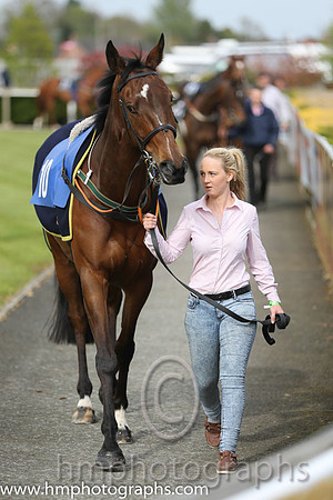 05th Last Encounter ( 10 , black, pink epaulettes ) and P.W. Mullins - Trainer : Ms Margaret Mullins - Owner : Ms Mary Mullins