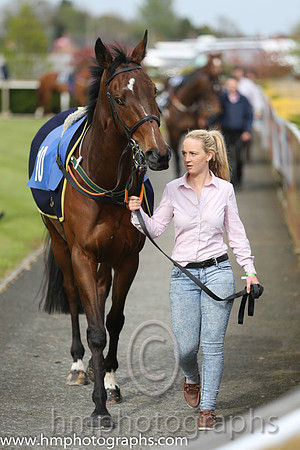 05th Last Encounter ( 10 , black, pink epaulettes ) and P.W. Mullins - Trainer : Ms Margaret Mullins - Owner : Ms Mary Mullins