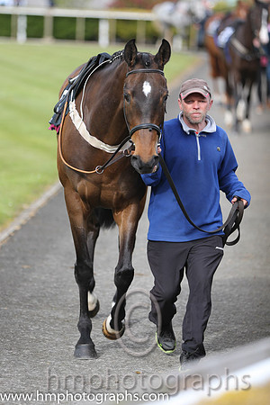 The Down Royal Flat Race of 9,000 Euro