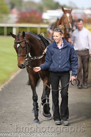 The Down Royal Flat Race of 9,000 Euro