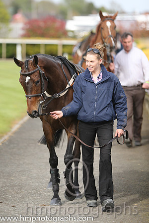 The Down Royal Flat Race of 9,000 Euro
