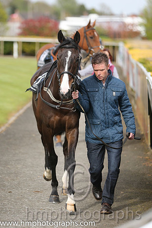 The Down Royal Flat Race of 9,000 Euro