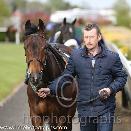 The Down Royal Flat Race of 9,000 Euro
