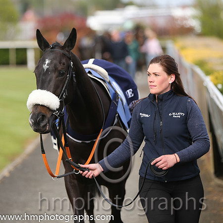 04th Woodford Island ( 18 , green , orange s[ots ) and B. O'Neill (3) - Trainer : Gordon Elliott - Owner : T.J. Doran