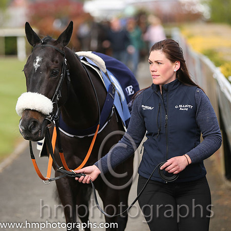 04th Woodford Island ( 18 , green , orange s[ots ) and B. O'Neill (3) - Trainer : Gordon Elliott - Owner : T.J. Doran
