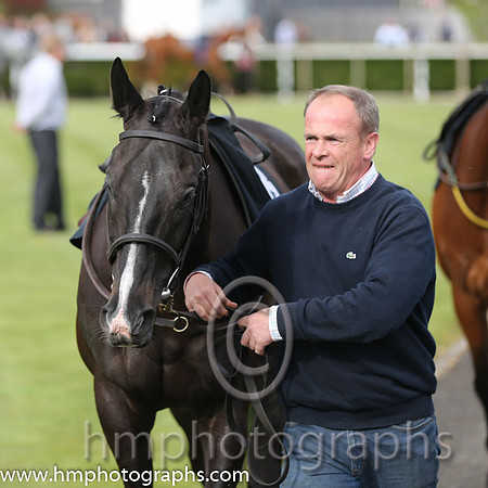 The Down Royal Flat Race of 9,000 Euro