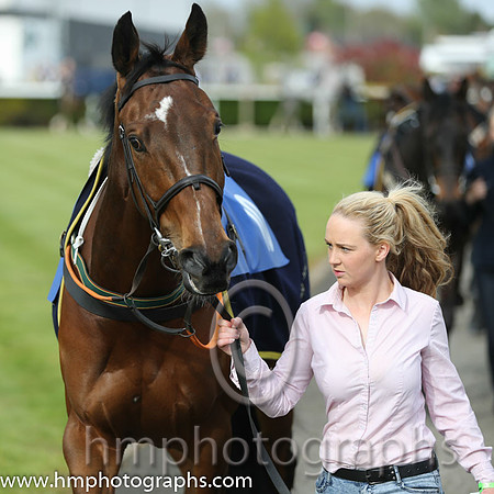 The Down Royal Flat Race of 9,000 Euro