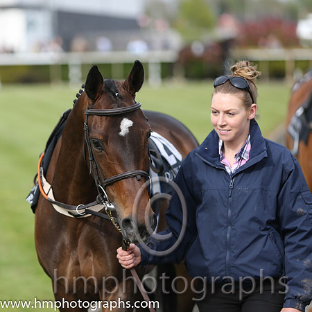 17th Milan Diva ( 20 , green and yellow stripes ) and - Trainer : Sarah Dawson - Owner : Dr. J.F. Dawson