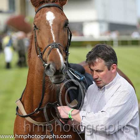 The Down Royal Flat Race of 9,000 Euro