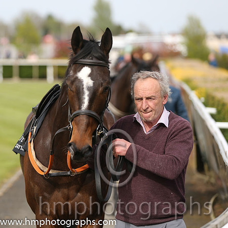 The Down Royal Flat Race of 9,000 Euro
