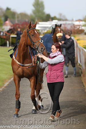 The Down Royal Flat Race of 9,000 Euro