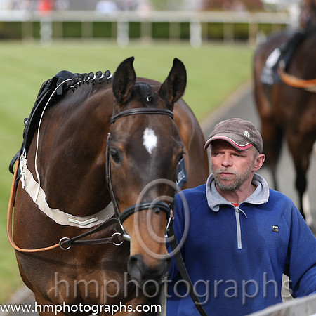 The Down Royal Flat Race of 9,000 Euro