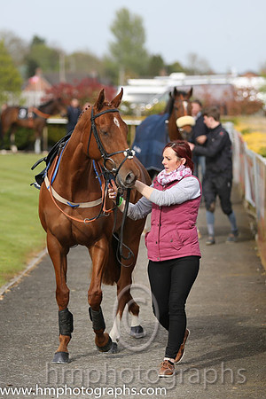 The Down Royal Flat Race of 9,000 Euro