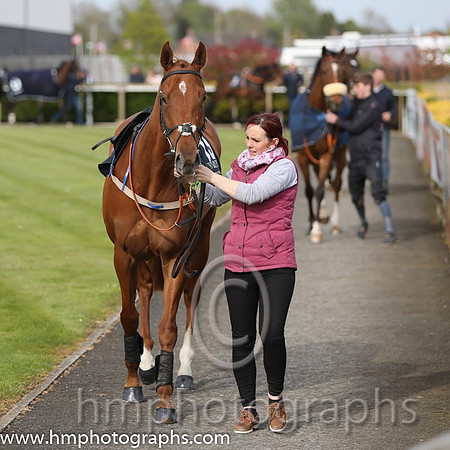 The Down Royal Flat Race of 9,000 Euro