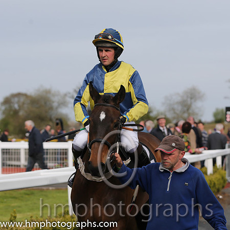 08th Concience ( 12 , black and yellow qtrd ) and J.P. Dowling (7) - Trainer : Desmond McDonogh - Owner : P.E.I.Newell
