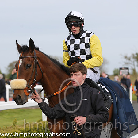 01st Okotoks ( 11 , black and white check yellow sleeves ) and S. Clements (5) - Trainer : A.J.Martin - Owner : Malcolm C.Denmark