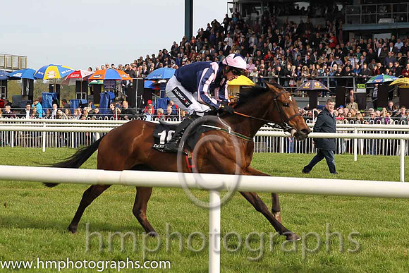 05th Last Encounter ( 10 , black, pink epaulettes ) and P.W. Mullins - Trainer : Ms Margaret Mullins - Owner : Ms Mary Mullins