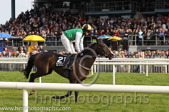 15th Aughavilly Sam ( 21 , green, white sleeves ) and J. Creswell (7) - Trainer : J. Woods - Owner : J. Woods