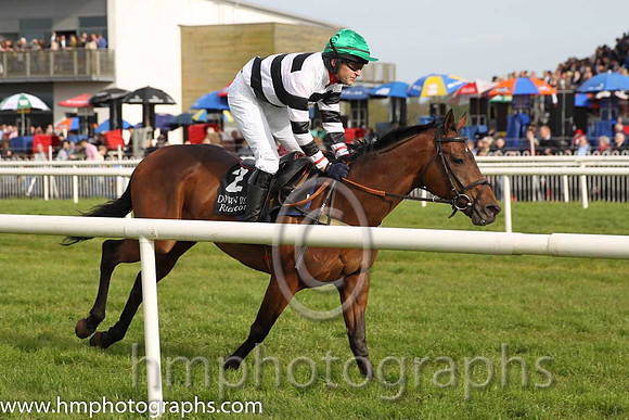 16th Aye Paddy Too ( 2 , green, white sleeves ) and N. Gault (7) - Trainer : W J Bryson - Owner : W J Bryson