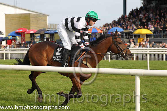 16th Aye Paddy Too ( 2 , green, white sleeves ) and N. Gault (7) - Trainer : W J Bryson - Owner : W J Bryson