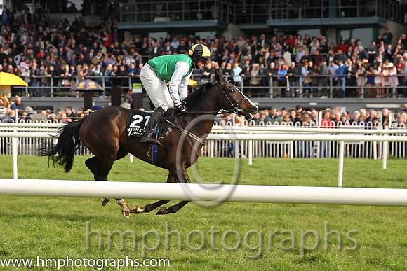 15th Aughavilly Sam ( 21 , green, white sleeves ) and J. Creswell (7) - Trainer : J. Woods - Owner : J. Woods