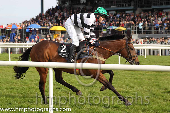 16th Aye Paddy Too ( 2 , green, white sleeves ) and N. Gault (7) - Trainer : W J Bryson - Owner : W J Bryson