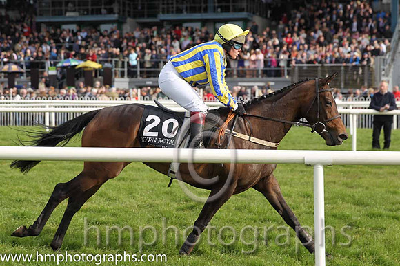 16th Aye Paddy Too ( 2 , green, white sleeves ) and N. Gault (7) - Trainer : W J Bryson - Owner : W J Bryson