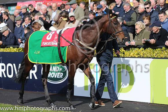 12th Cliff House ( 8 , white, red braces ) and B.T. O'Connell - Trainer : John J. Walsh - Owner : T.J. Ward