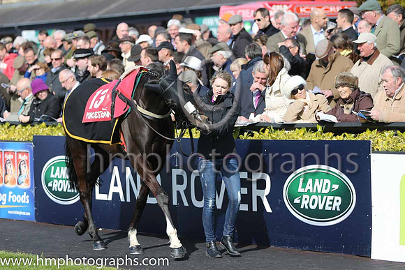 19th Mr Diablo ( 13 , blue and white chevrons ) and L.P. Dempsey (5) - Trainer : J.P.Dempsey - Owner : Aidan Glynn