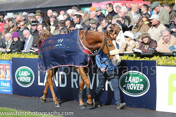 06th Pivot Bridge (26, Lght blue and yellow panel) and David Splaine - Trainer: Adrian McGuinness