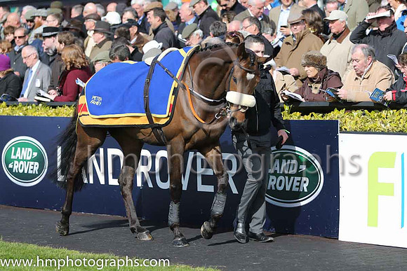 10th Frontline ( 24 , light blue, dark blue star ) and A.P. Heskin - Trainer : Peter Fahey - Owner : Flyers Syndicate